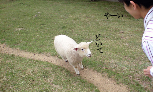 六甲を越えて有馬へ