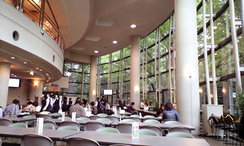 早稲田大学へ