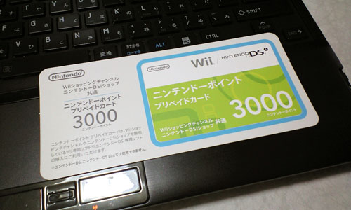 DSiポイントをもらった
